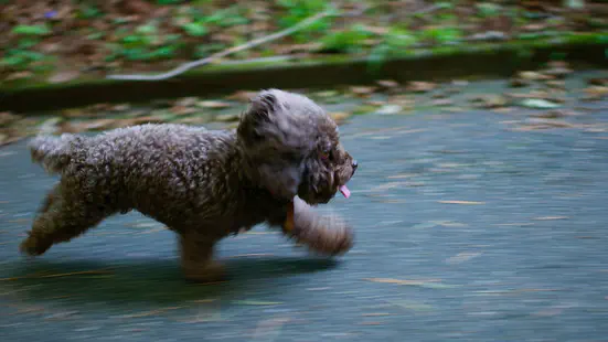 Image credit: [**Unsplash**](https://unsplash.com/photos/CpkOjOcXdUY)